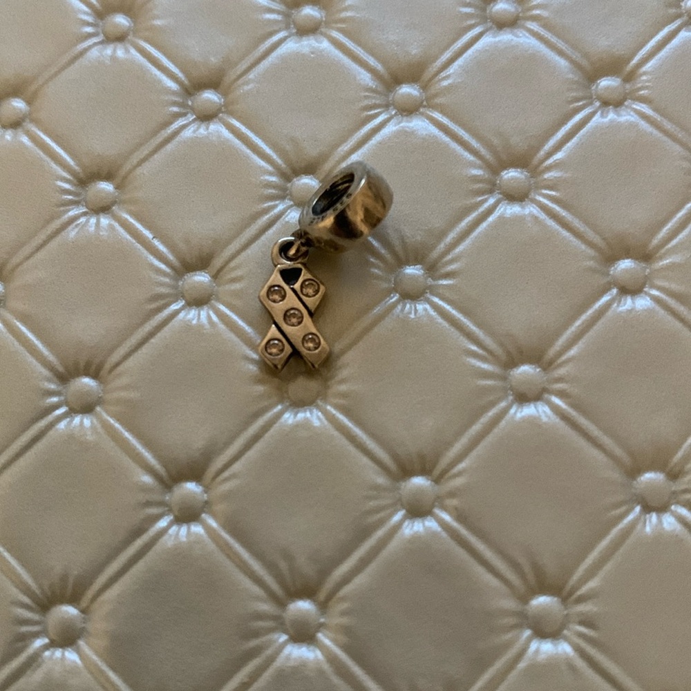 Pandora Charm